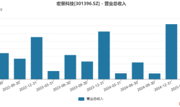 神秘公司带来近29亿订单，算力黑马宏景科技业绩扭亏，四大隐忧浮现|界面新闻 · 证券
