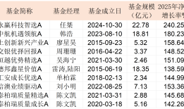 2025主动权益基金红黑榜：时隔18年公募再现“两倍基”，多位老将失意|界面新闻