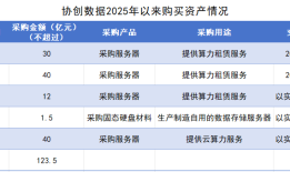 122亿元“梭哈”算力，债务激增的协创数据加速冲刺H股|界面新闻 · 证券