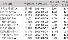 2025主动权益基金红黑榜：时隔18年公募再现“两倍基”，多位老将失意|界面新闻