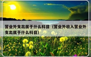 营业外支出属于什么科目（营业外收入营业外支出属于什么科目）