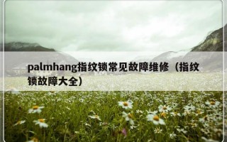 palmhang指纹锁常见故障维修（指纹锁故障大全）