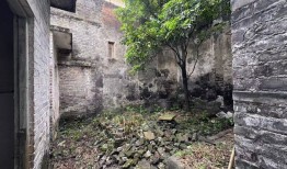 实探佛山基孔肯雅热疫情：患者病程约7天，闲置房成蚊虫消杀关键点|界面新闻