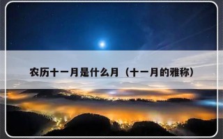 农历十一月是什么月（十一月的雅称）