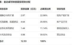 财说| 全球最大辅酶Q10生产商可转债火爆申购背后：高负债扩张与盈利隐忧|界面新闻 · 证券