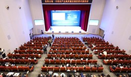 云南白药：2024年业绩创历史新高，全年42.79亿元分红回馈投资者|界面新闻