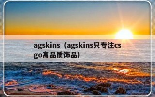 agskins（agskins只专注csgo高品质饰品）