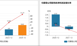 预挂牌仅不到半个月，锦龙股份终止出售中山证券股权，发生了什么？|界面新闻