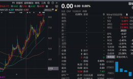 财说|菲林格尔易主，涨停背后疑云重重|界面新闻 · 证券