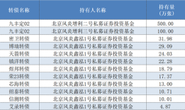 私募成可转债市场大玩家！累计持仓近2600万张，多家知名私募参与|界面新闻