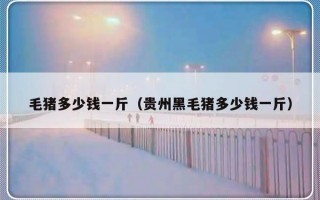毛猪多少钱一斤（贵州黑毛猪多少钱一斤）