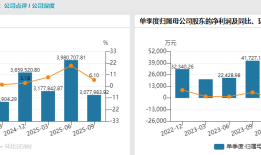 员工持股计划“稳军心”？神州数码转型“失据”下三大风险待解|界面新闻 · 证券