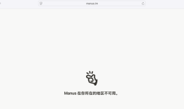 Manus多平台账号清空，官网显示“地区不可用”|界面新闻 · 科技