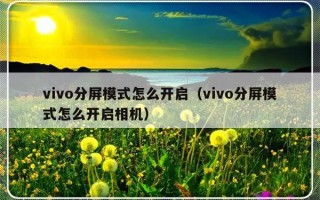 vivo分屏模式怎么开启（vivo分屏模式怎么开启相机）