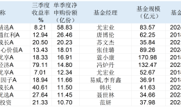 三季度基民开启“高抛低吸”，基金经理：小心AI板块高估值风险|基金放大镜|界面新闻