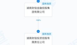 股价两个“一字板”，长沙国资拿下华扬联众意欲何为？|界面新闻 · 证券
