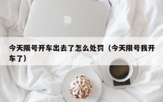今天限号开车出去了怎么处罚（今天限号我开车了）