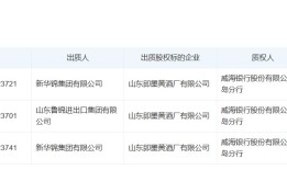 新华锦大股东资金占用困局待解，青岛啤酒的资产收购或难成“救命稻草”|界面新闻 · 证券