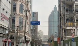 抢收小阳春，郭鹤年上海400亿豪宅首战，均价19万/平|界面新闻 · 地产