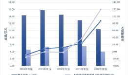 上海生物医药并购基金首次“开单”，接过“温州鞋王”的康华生物|界面新闻