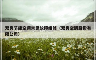 双良节能空调常见故障维修（双良空调股份有限公司）