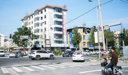 界面人物No.1｜“东北雨姐”，极速坠落|界面新闻 · 中国