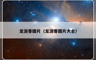 龙涎香图片（龙涎香图片大全）