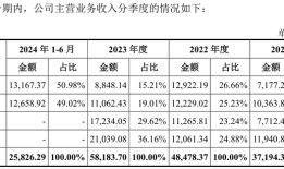 力源海纳拟创业板募超11亿元：曾因财务不规范遭整改，上半年应收账款占营收近100%|界面新闻 · 证券