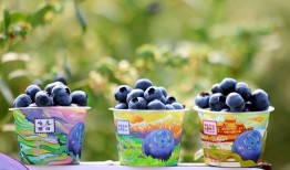国产蓝莓卖爆背后的“水果进化论”|界面新闻