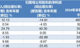 业绩下滑的陕西水电IPO终止，光伏业务产能利用率不足|界面新闻 · 证券
