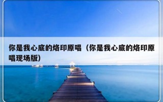 你是我心底的烙印原唱（你是我心底的烙印原唱现场版）