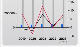 数据 | 我国汽车出口及国内销量创新高，12月份乘用车零售量连续五月增长|界面新闻