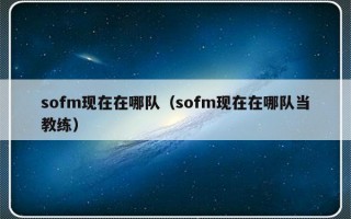 sofm现在在哪队（sofm现在在哪队当教练）