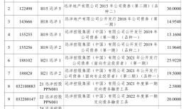 远洋集团7笔境内债重组获通过，涉及130.5亿元|界面新闻 · 地产
