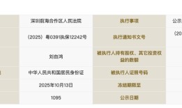 柔宇科技破产不到一年后，刘自鸿所持1.38亿元股权被冻结|界面新闻 · 科技