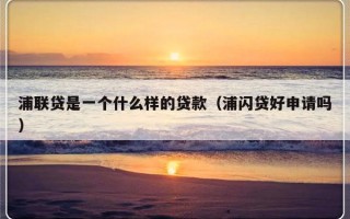 浦联贷是一个什么样的贷款（浦闪贷好申请吗）