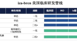 百利天恒获80亿授信，暂缓IPO后继续“输血”国际化|界面新闻