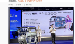 三轮车取名智界、问界，宗申工作人员回应|界面新闻 · 汽车
