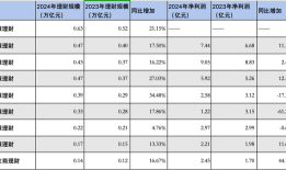 城商行理财公司2024年成绩单：代销拓展加速，苏银理财规模“领跑”|界面新闻