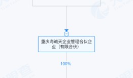 司法拍卖牵出资本暗线，博拉网络连续收入迅游科技股份意欲何为？|界面新闻 · 证券