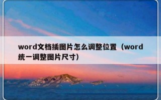 word文档插图片怎么调整位置（word统一调整图片尺寸）