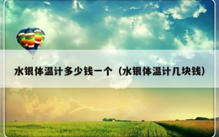 水银体温计多少钱一个（水银体温计几块钱）