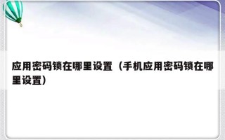应用密码锁在哪里设置（手机应用密码锁在哪里设置）
