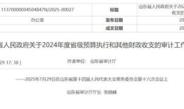 山东通报审计工作报告：两市向505名死亡人员发放养老保险|界面新闻 · 中国