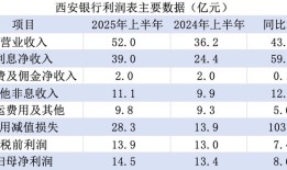 银行净息差持续收窄，为何西安银行逆势上行49个基点？|界面新闻