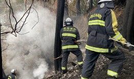 日本50年来最严重山火持续，或被定为“特大灾害”|界面新闻 · 天下