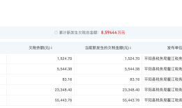 “柴怼怼”公司欠税8.5万被公告，此前夫妻二人被逮捕 |界面新闻