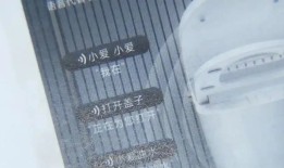 山寨小米马桶爆卖1.3亿，小米起诉获赔3000万|界面新闻 · 科技