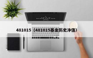 481015（481015基金历史净值）