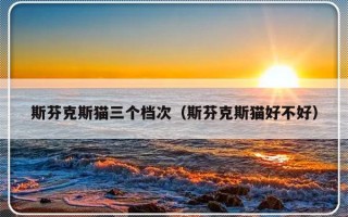 斯芬克斯猫三个档次（斯芬克斯猫好不好）
